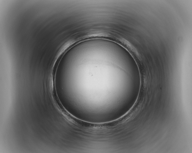 X0000116321274200912011105