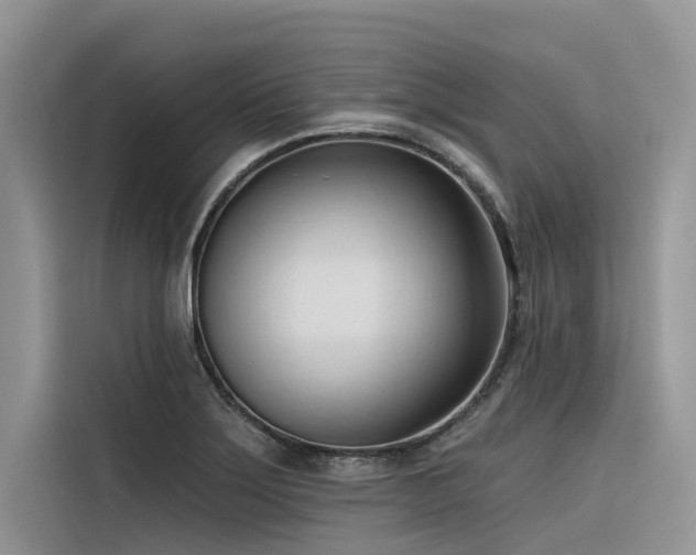 X0000116321275200912011105