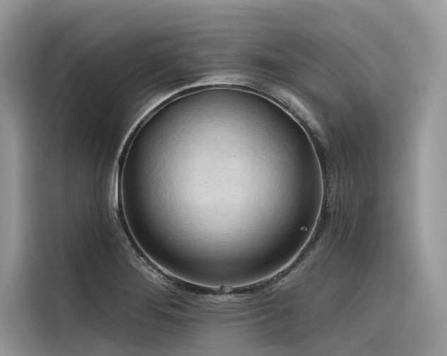 X0000116321276200912011105