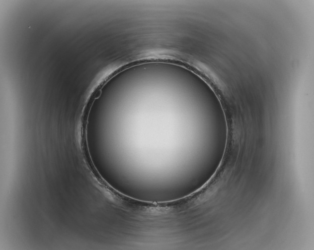 X0000116321277200912011105