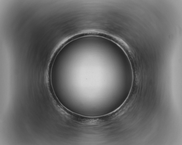 X0000116321279200912011105