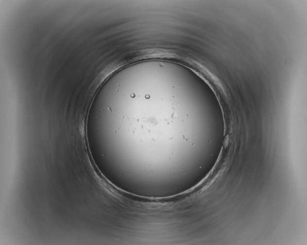 X0000116321281200912011105