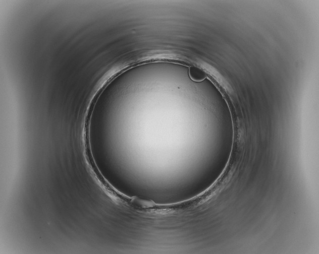X0000116321282200912011105