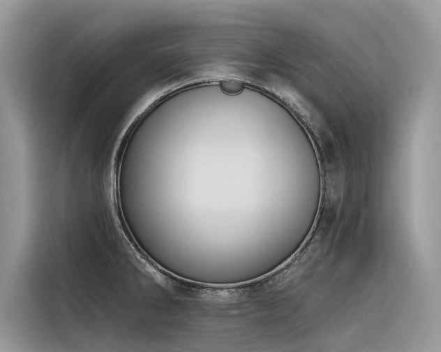X0000116321286200912011105