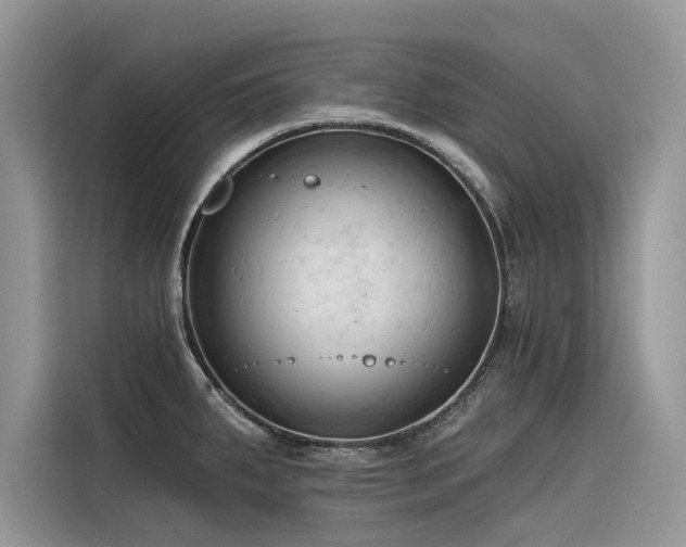 X0000116321287200912011105
