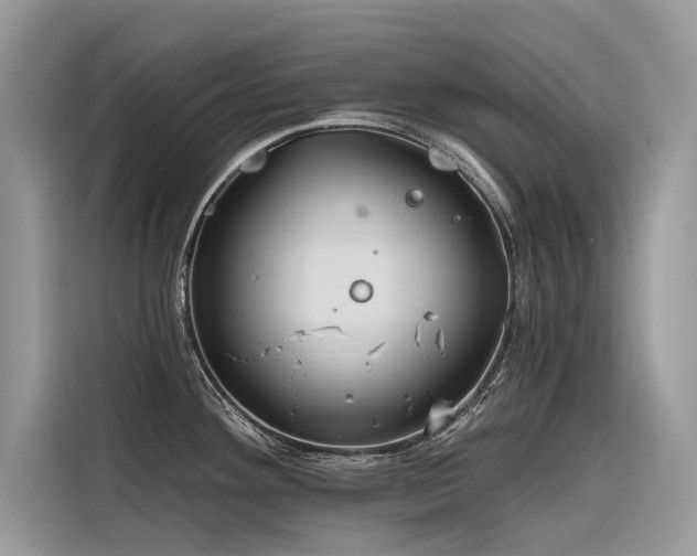 X0000116321292200912011105