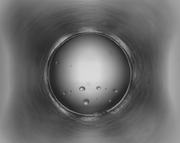 X0000116321293200912011105