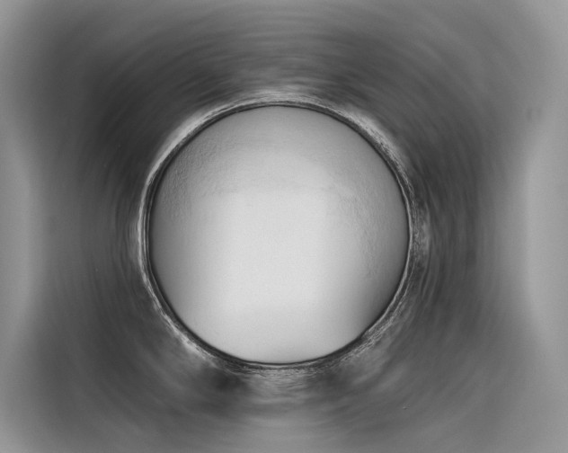X0000116321294200912011105