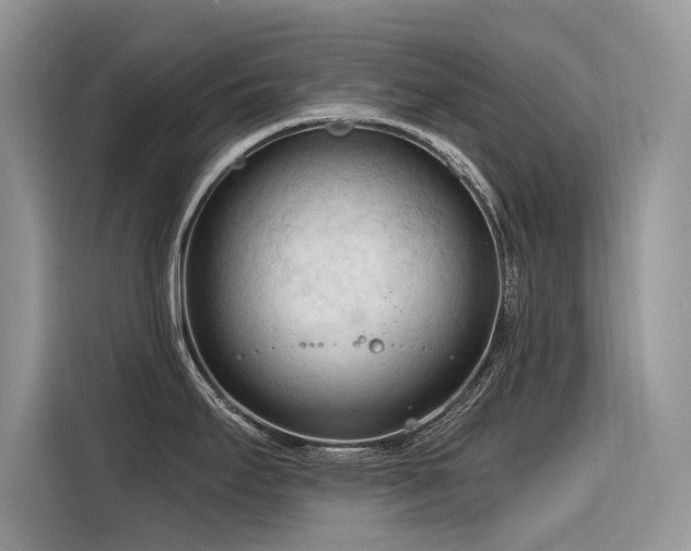 X0000116321295200912011105