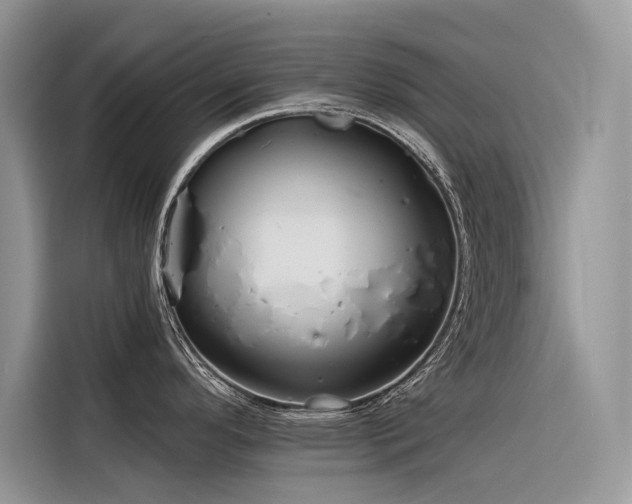 X0000116321296200912011105