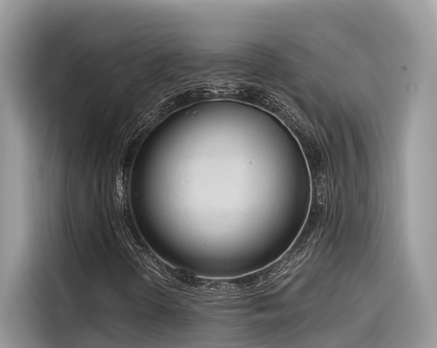 X0000116321298200912011104