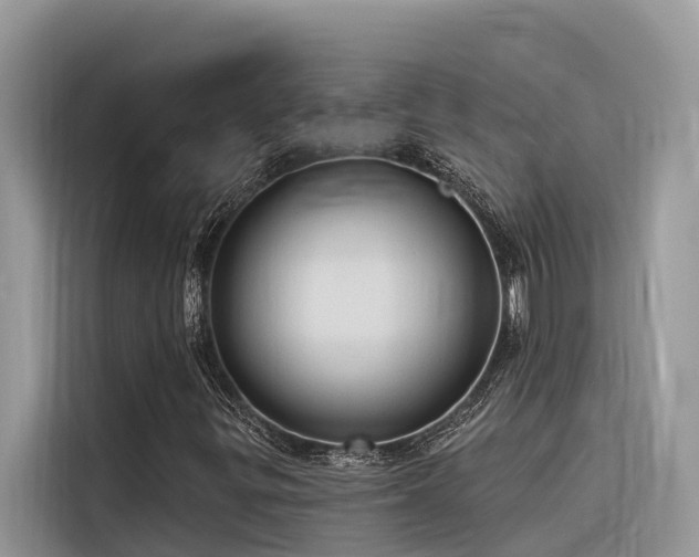 X0000116321299200912011104