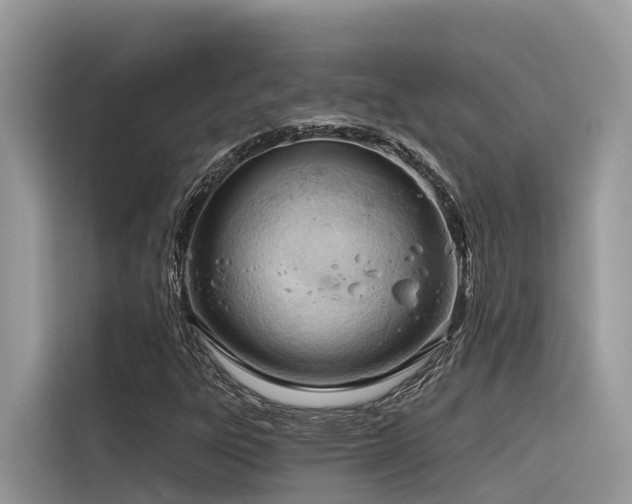 X0000116321303200912011104