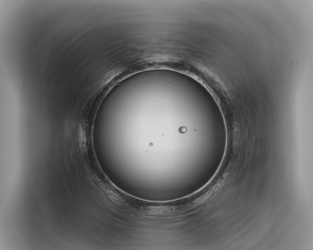 X0000116321305200912011104