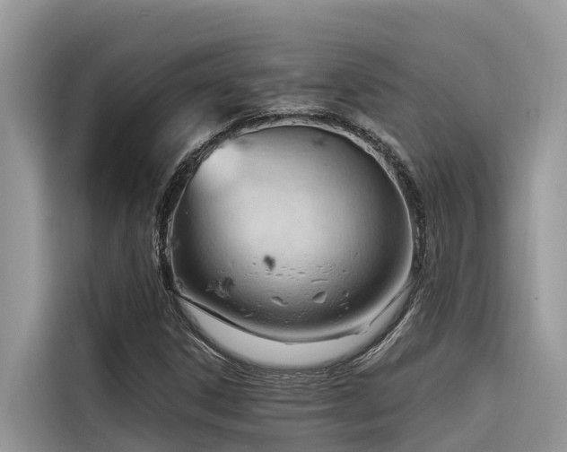 X0000116321306200912011104
