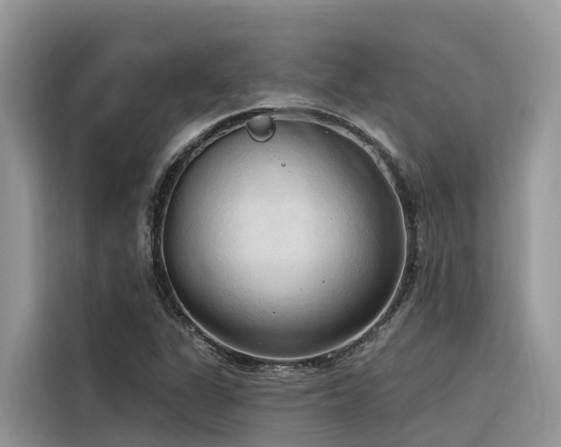 X0000116321311200912011104