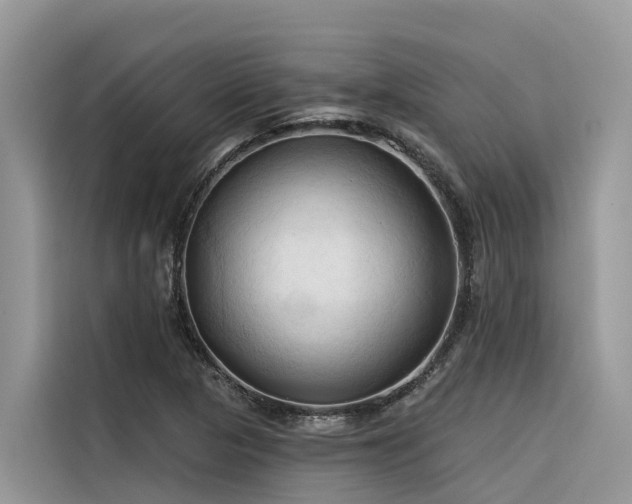X0000116321313200912011104