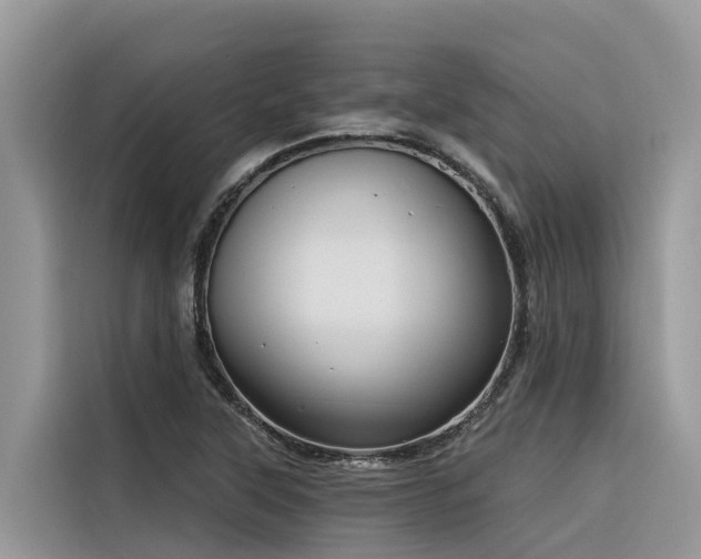 X0000116321315200912011104