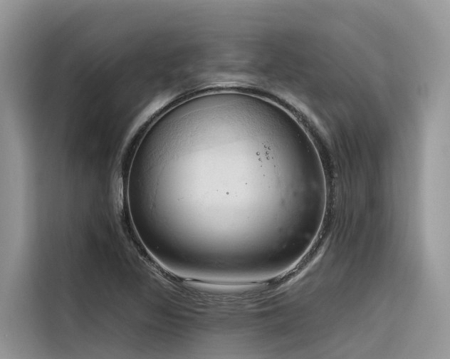 X0000116321317200912011104