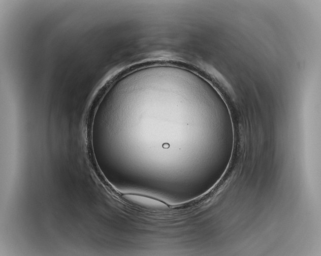 X0000116321318200912011104