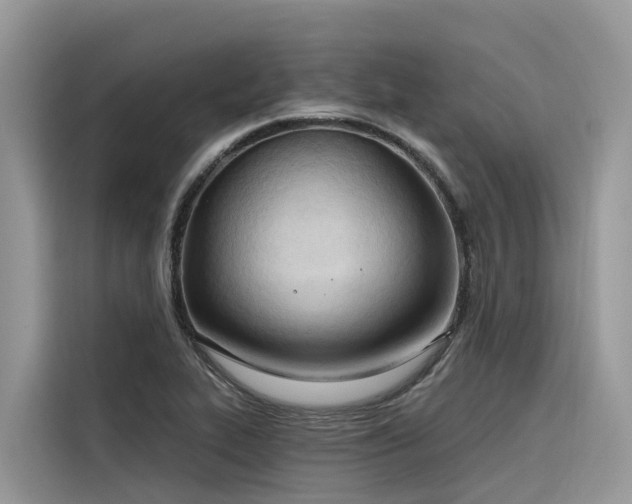 X0000116321319200912011104
