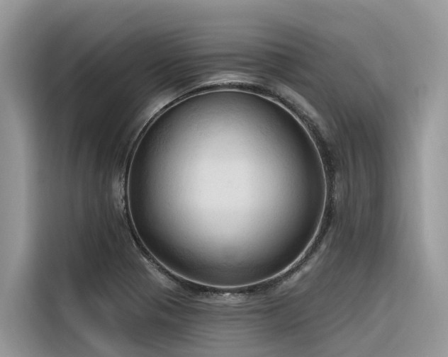 X0000116321321200912011104