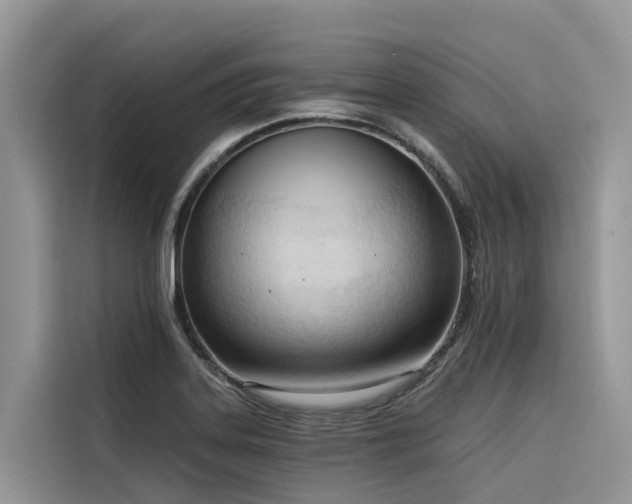 X0000116321323200912011105