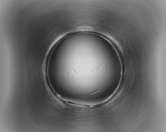 X0000116321325200912011105