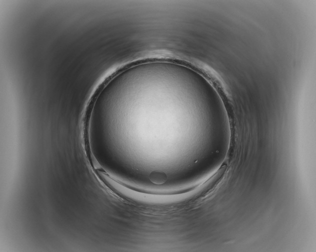 X0000116321326200912011105