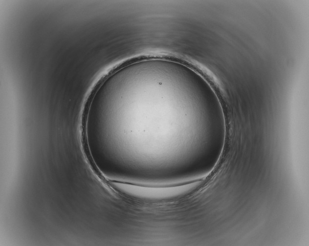X0000116321327200912011105