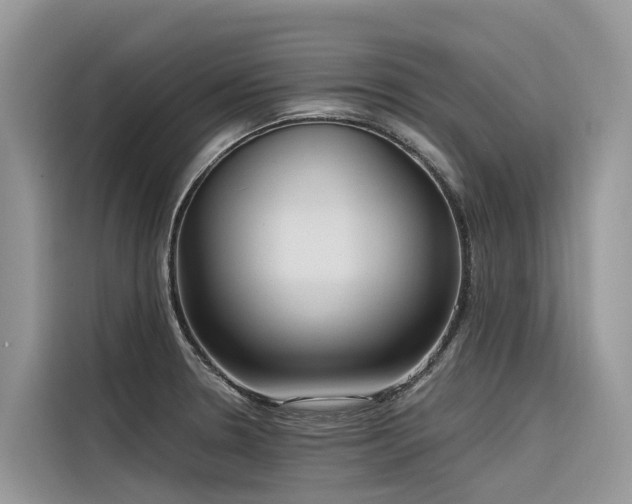 X0000116321330200912011105
