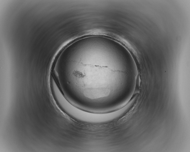 X0000116321331200912011105