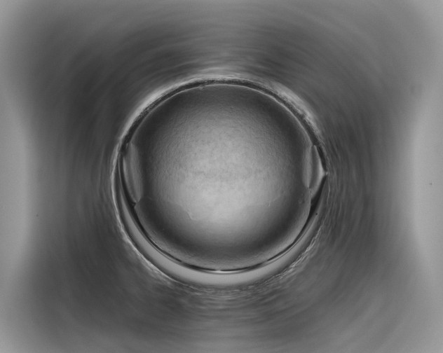 X0000116321334200912011105