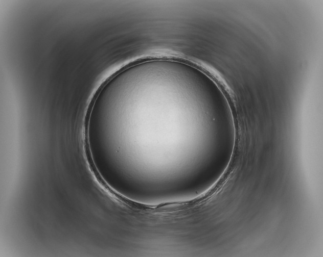 X0000116321335200912011105