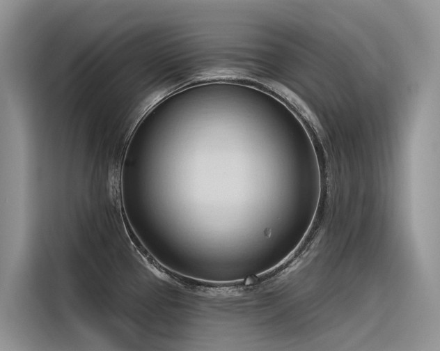 X0000116321337200912011105