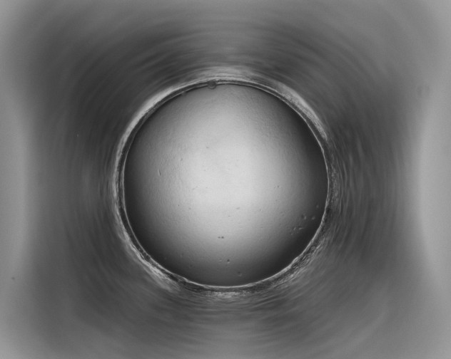 X0000116321339200912011105