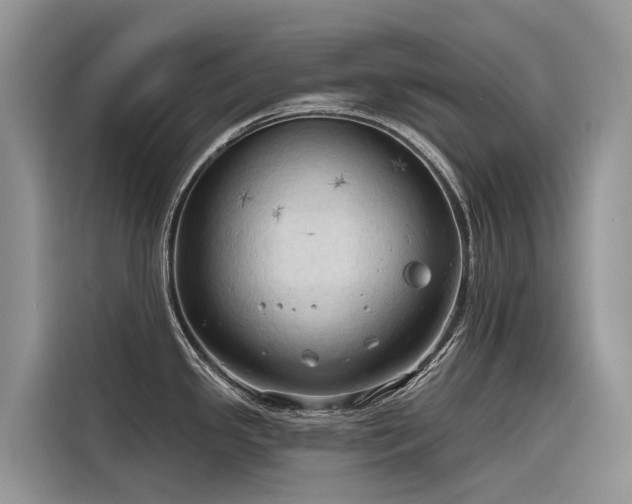 X0000116321341200912011105