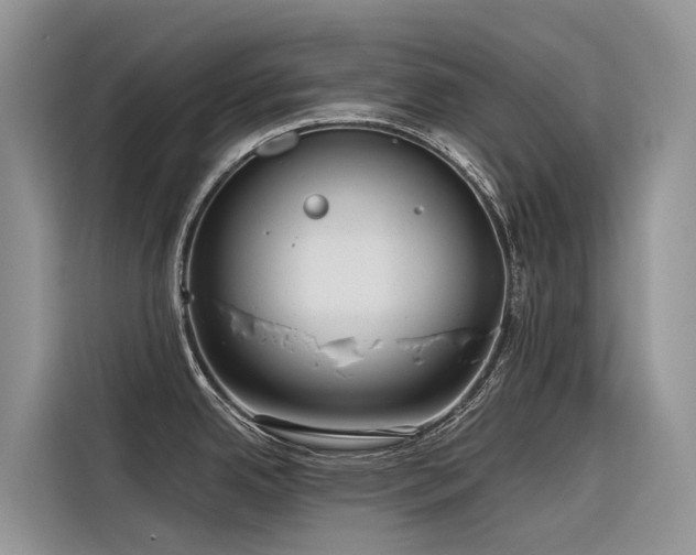 X0000116321342200912011105