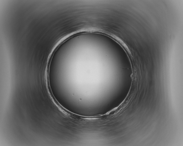 X0000116321343200912011105