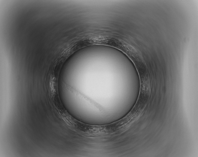 X0000116321346200912011104