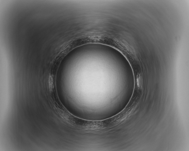 X0000116321347200912011104