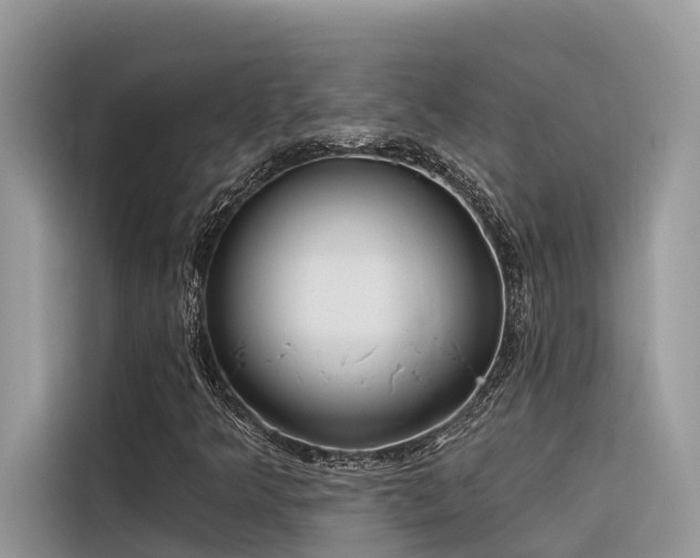X0000116321349200912011104