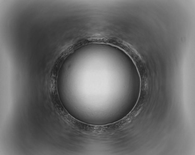 X0000116321350200912011104