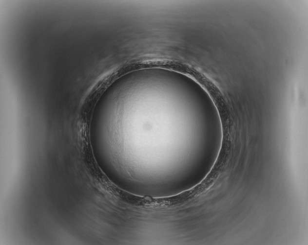 X0000116321351200912011104