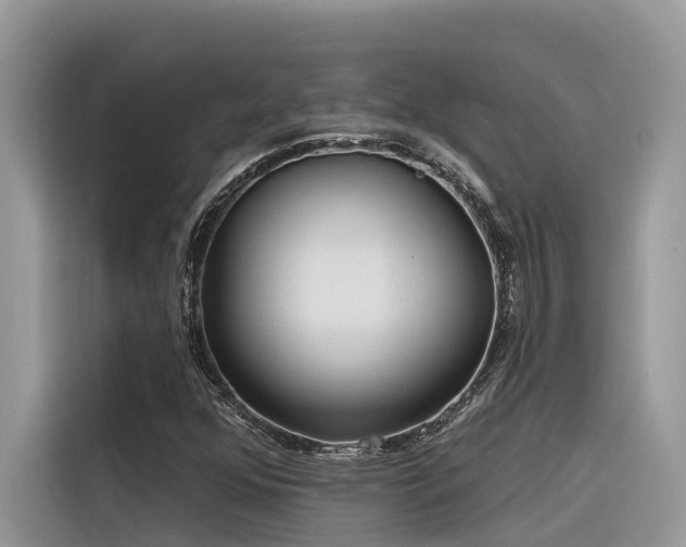 X0000116321352200912011104