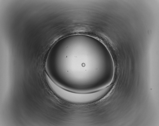 X0000116321353200912011104