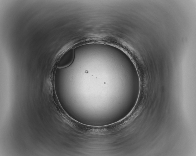 X0000116321354200912011104