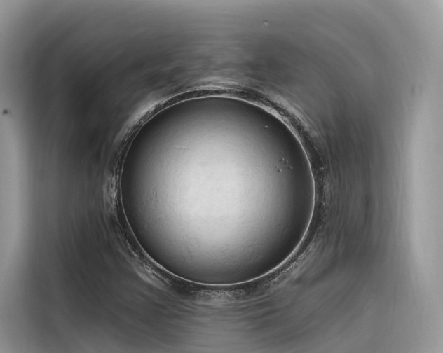 X0000116321355200912011104