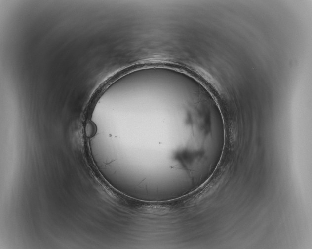X0000116321356200912011104