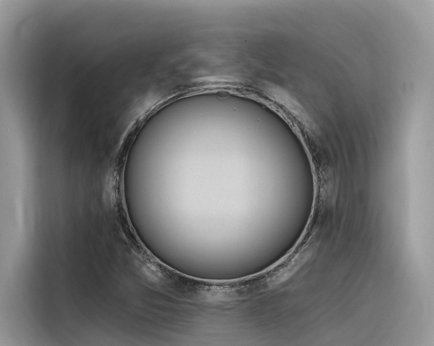 X0000116321357200912011104